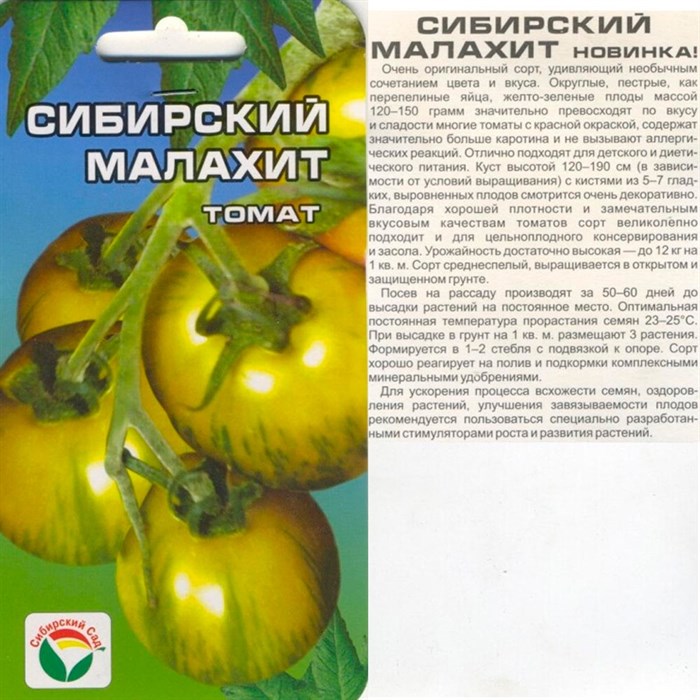 Томат черное сердце бреда — описание и характеристика сорта