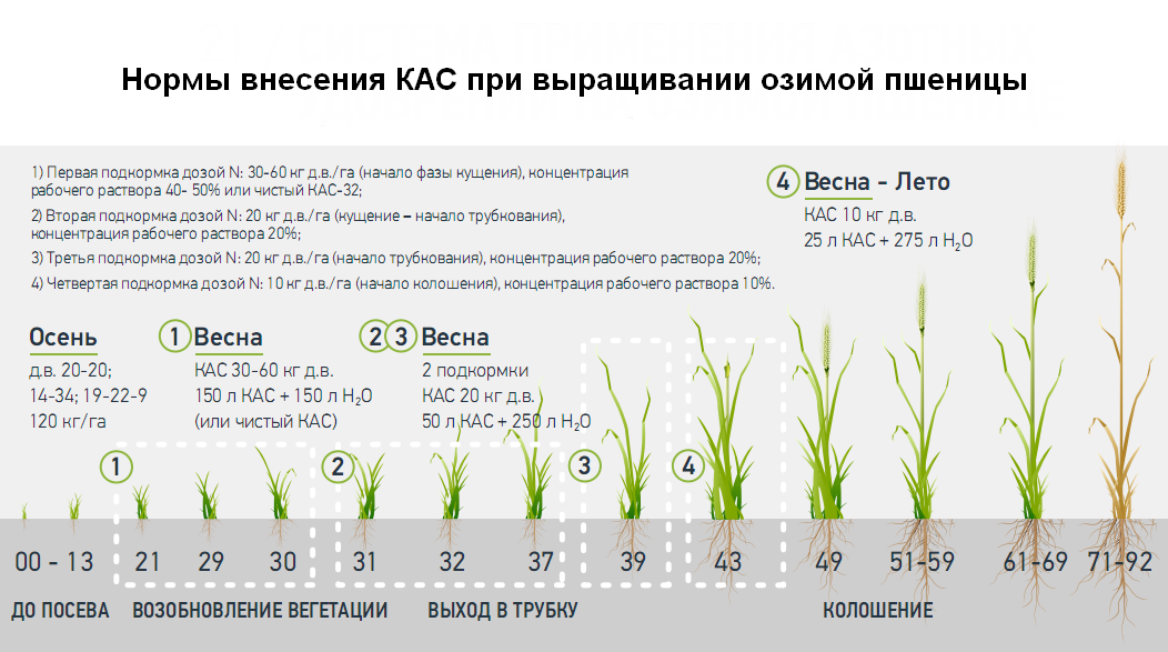 Технология возделывания сои схема