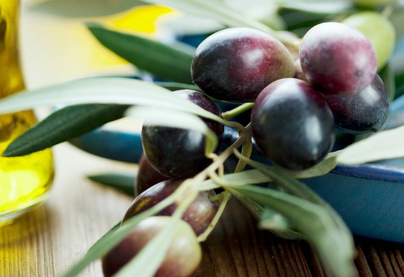 Маслины и оливки: в чем заключается разница