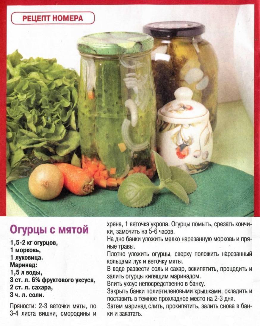 Консервированные кабачки на зиму - лучшие рецепты