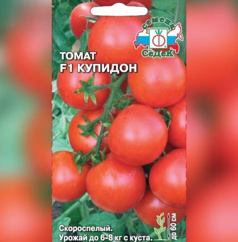 Чудо голландской селекции — томат «марманде»: чем хорош и как вырастить его на своем участке
