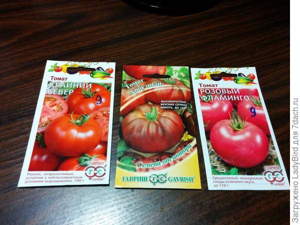 Томат арбуз: отзывы огородников об урожайность обычного и черного сорта, описание и характеристика помидоров с фото