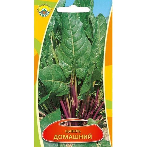 Щавель: кислый, обыкновенный, крупнолистный, широколистный, бельвийский, с красными прожилками, для подмосковья, разновидности, фото