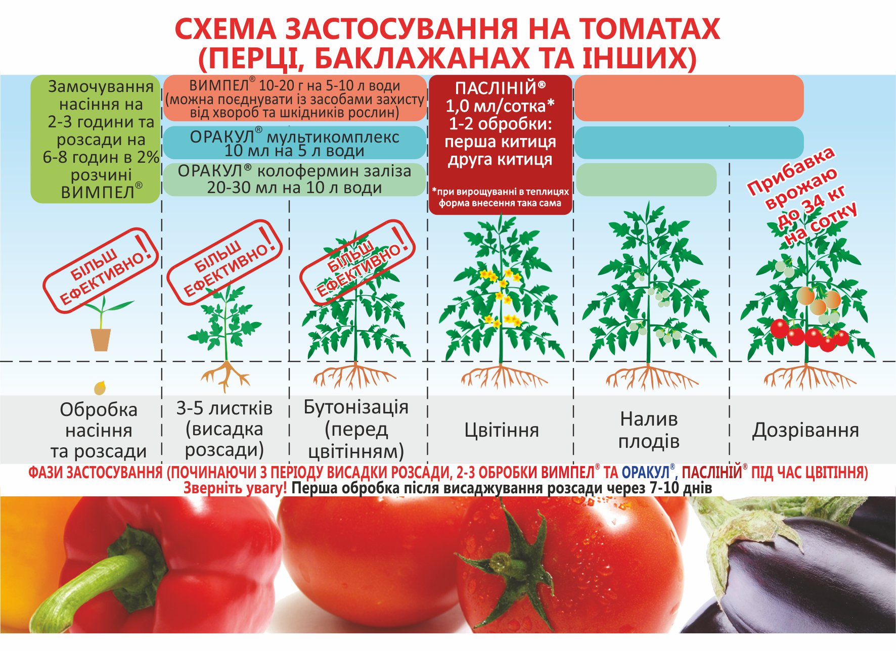 Сибирский скороспелый томат схема посадки