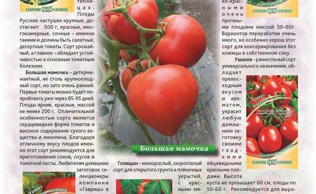 Томат "грушовка": описание, отзывы, фото