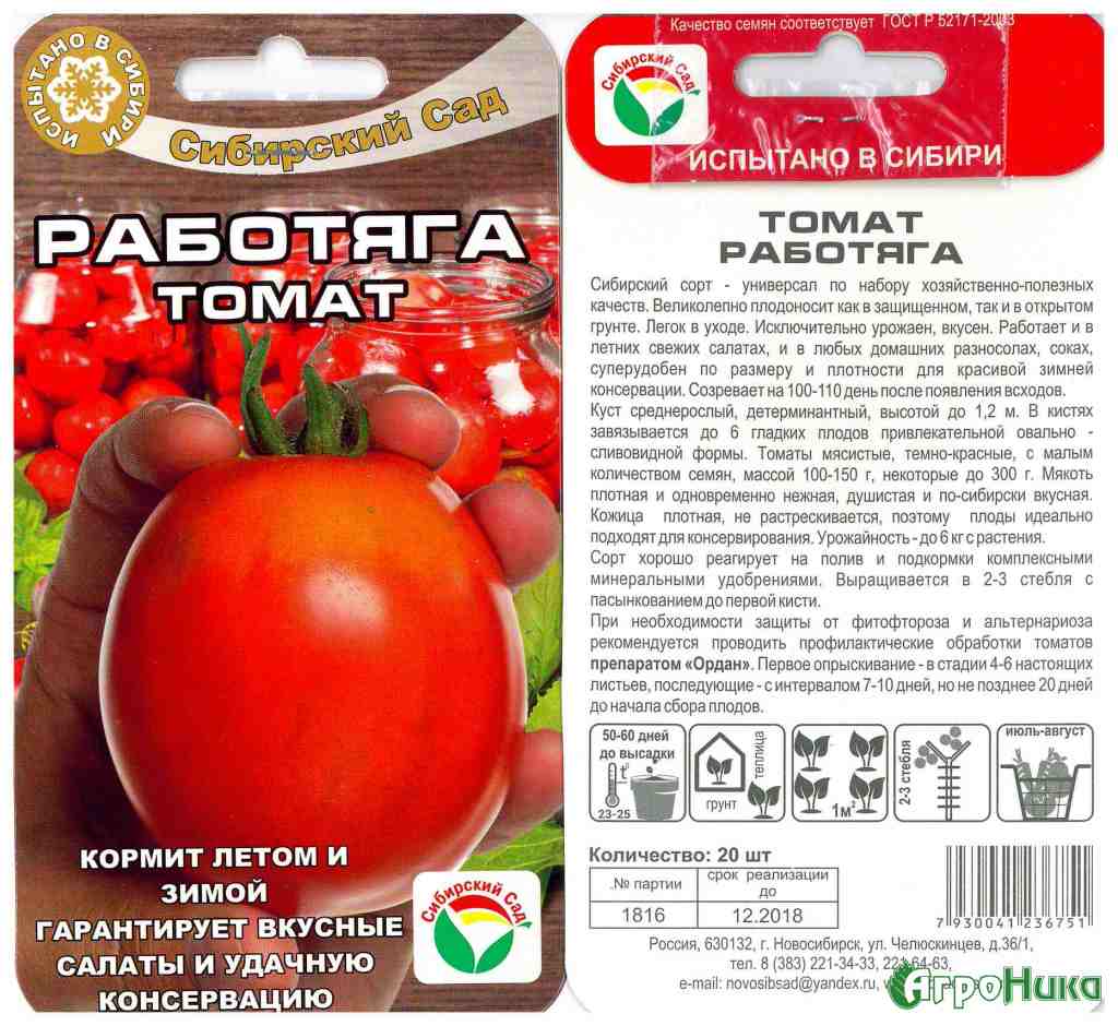 Агротехника выращивания помидор в открытом грунте и теплице!