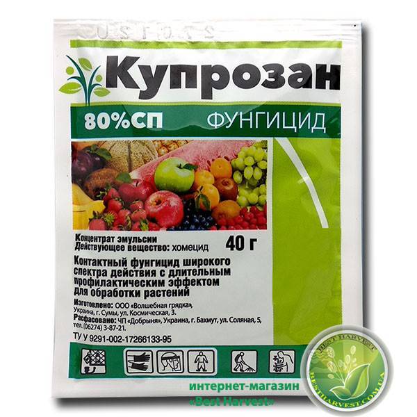 Описание видов фунгицидов для картофеля и перечень средств, какое выбрать