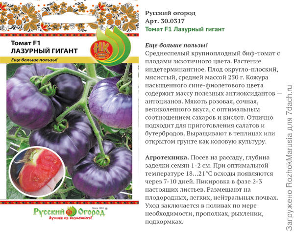 Чешский красавец для открытых грядок и теплиц — томат златовласка: описание сорта и характеристики
