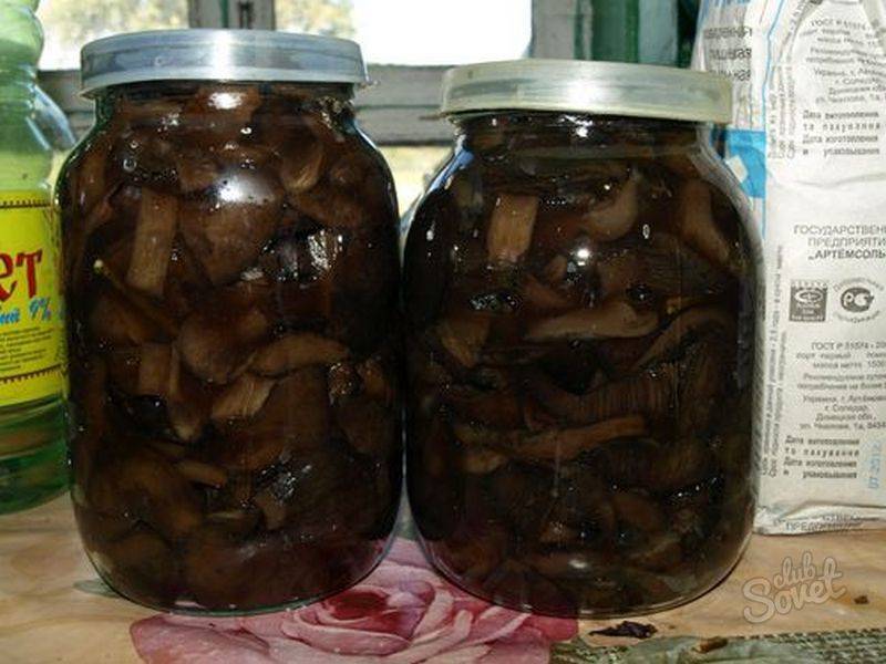 Как солить грузди на зиму холодным и горячим способом?
