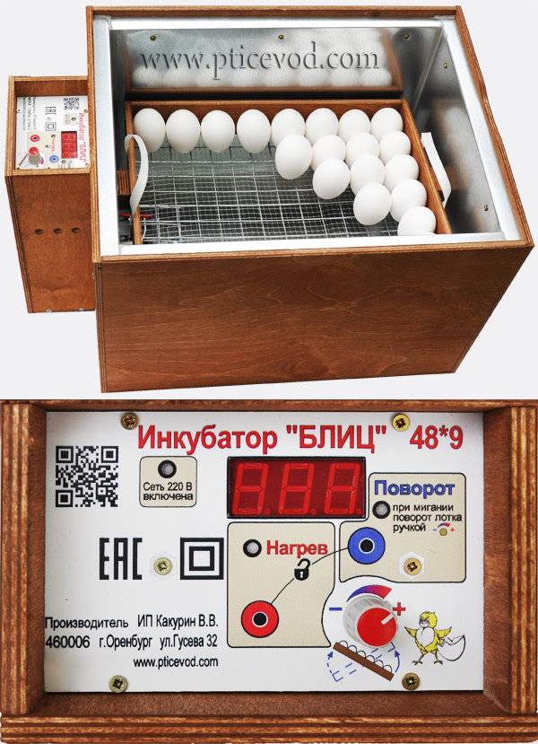 Как пользоваться инкубатором в домашних условиях