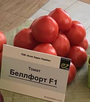 Томат белфорт f1 – описание сорта гибрида, характеристика, урожайность, отзывы, фото