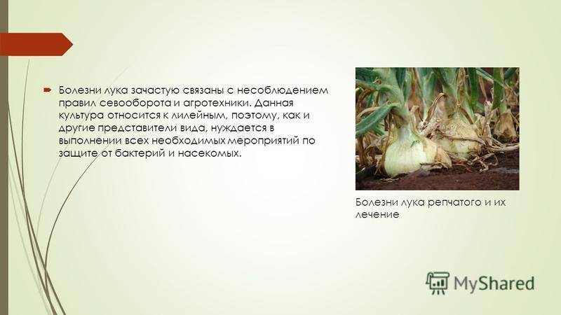 При каких заболеваниях повышено потоотделение (гипергидроз)