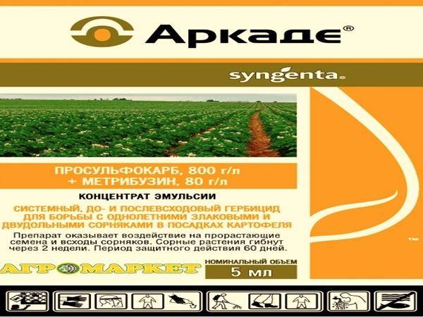 Майстер пауэр - послевсходовый гербицид системного действия