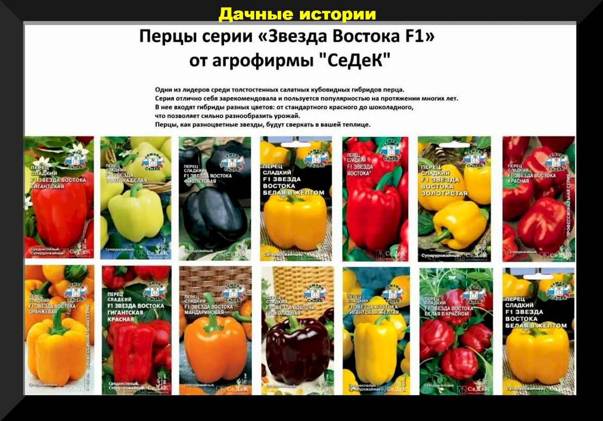 Сорта болгарских перцев с фото и описанием
