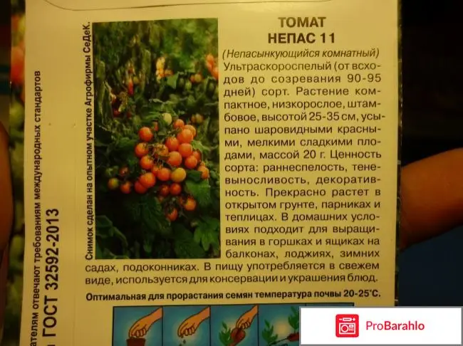 Характеристика и описание томата “непасынкующийся”