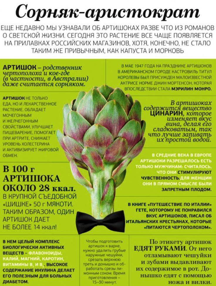 Желчегонные лекарственные средства