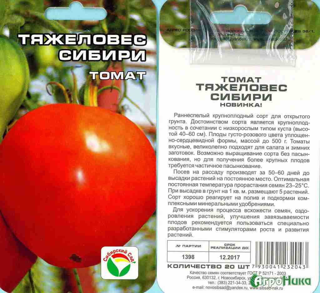 Фото, видео, описание, посадка, характеристика, урожайность, отзывы о гибриде огурцов «сибирский букет f1».