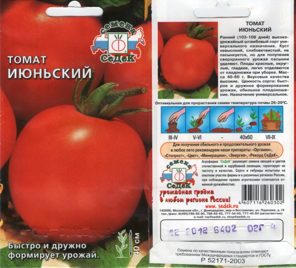 Описание раннеспелых томатов сорта Июньский и агротехника культивирования