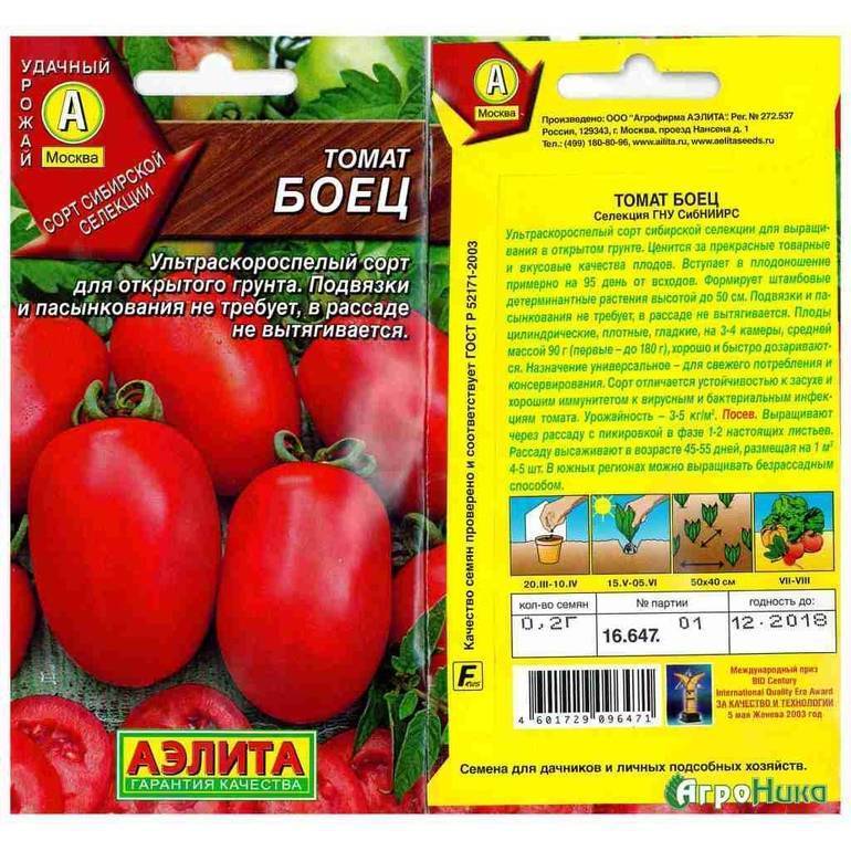 Описание сорта томата таймыр, его характеристика и особенности выращивание - все о фермерстве, растениях и урожае