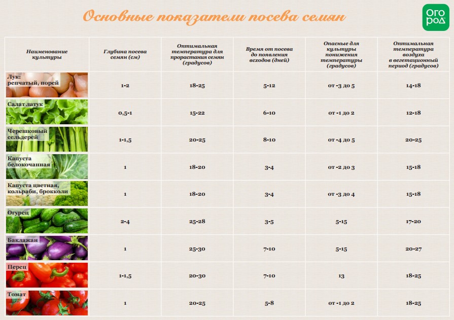 При какой температуре высаживать болгарский перец. Таблица посадки семян в открытый грунт. Схема посева семян на рассаду. Таблица глубины посева семян. Схема посадки перца в открытый грунт рассадой.