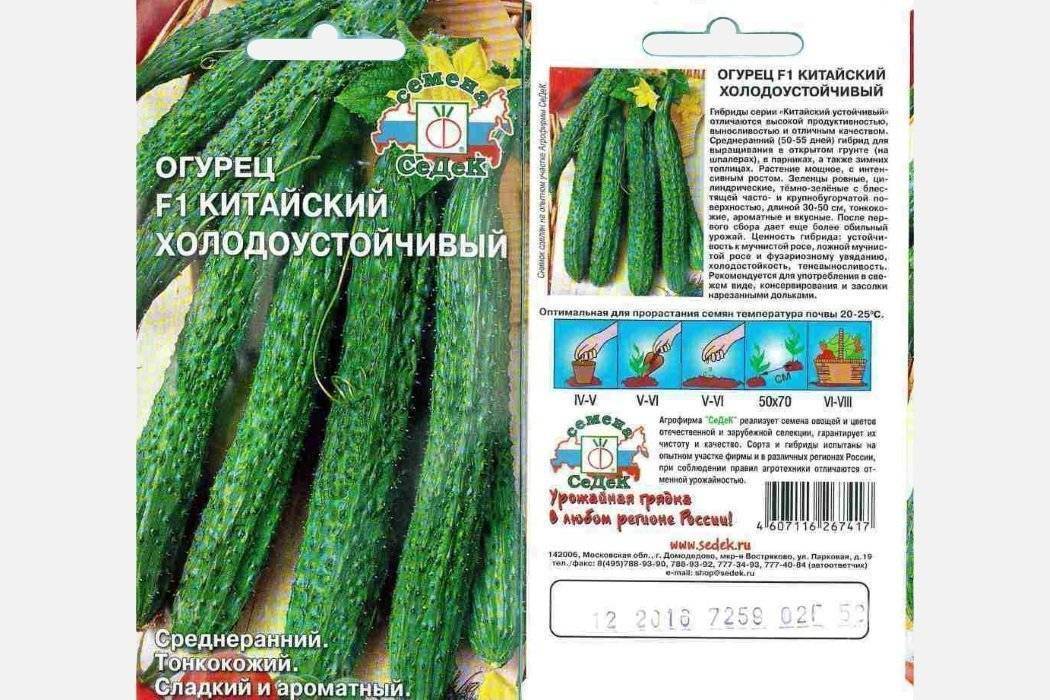 Лучшие сорта огурцов для открытого грунта по рекомендациям селекционеров и огородников