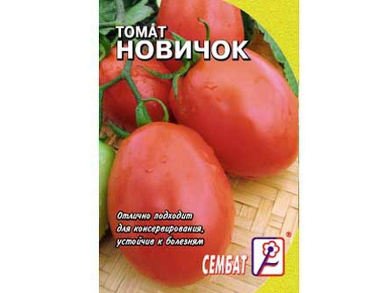 Томат черный русский: характеристика сорта, агротехника выращивания с фото