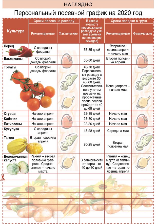 Когда сажать помидоры на рассаду в 2021 году по лунному календарю на урале: таблица