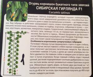Огурец сибирская гирлянда f1: выращивание, формирование, отзывы