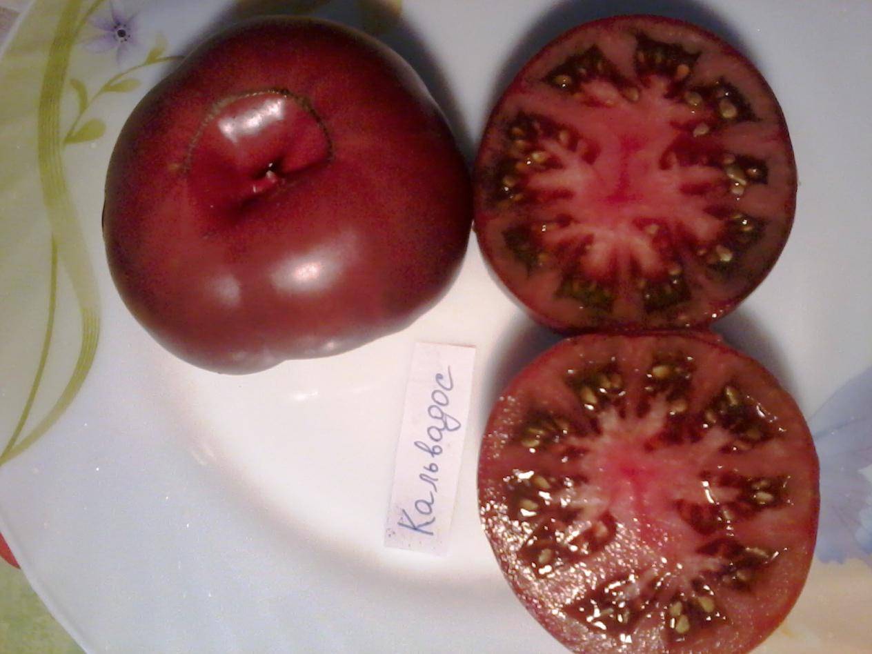 Полюбившийся многим огородникам томат — кровавая мэри: описание и характеристика сорта