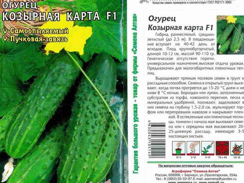 Рейтинг урожайных гибридов и сортов огурцов