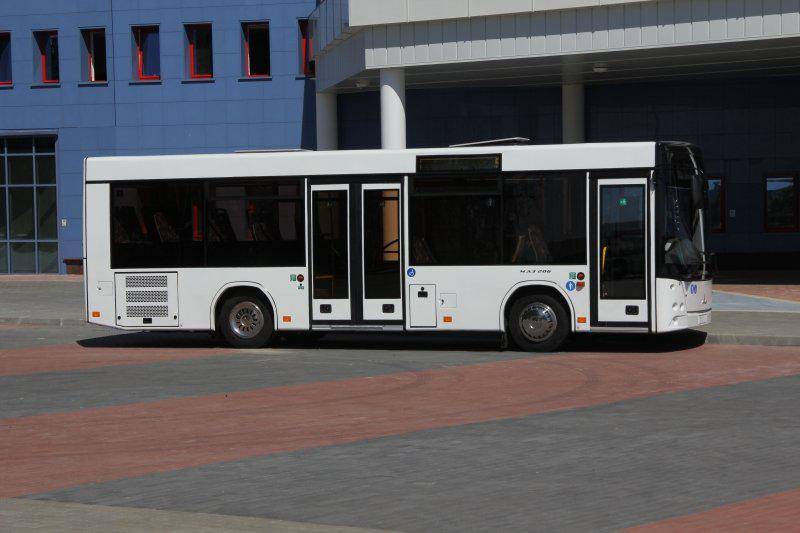 Автобус маз 206 — технические характеристики, фото