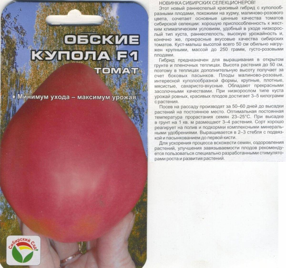 Описание сорта томата Русские купола и особенности выращивания