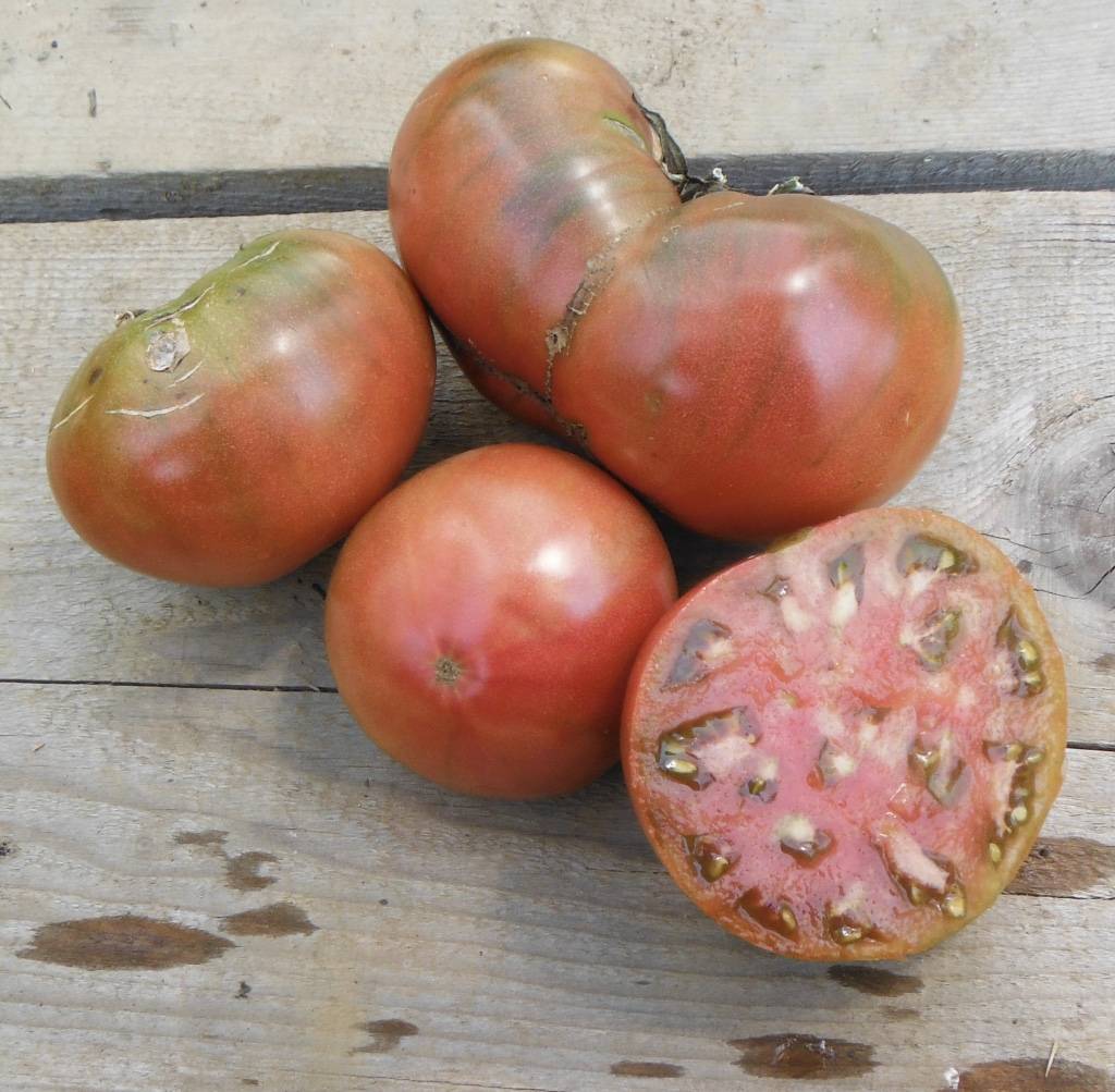 Сердцевидные томаты — особенности сортов и ухода за ними