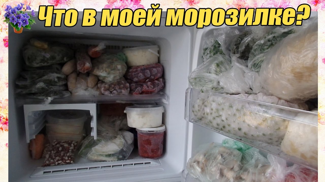 Топ 10 рецептов, как заморозить на зиму грибы в домашних условиях в холодильнике, сроки хранения