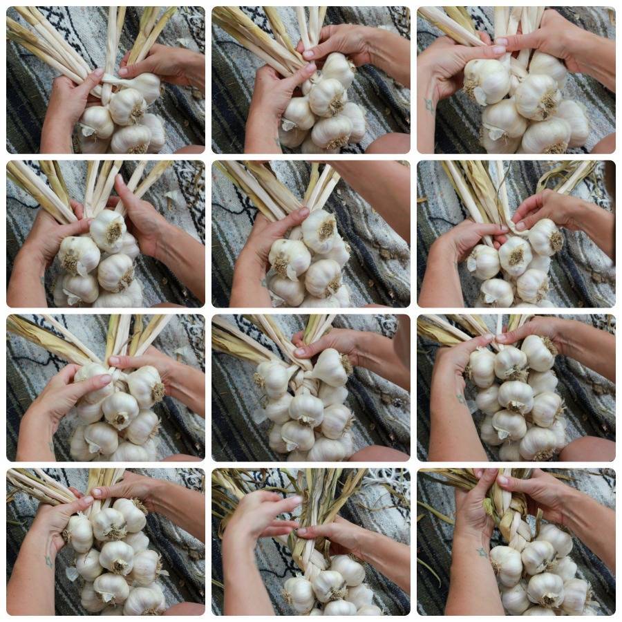 Способы плетения кос из чеснока