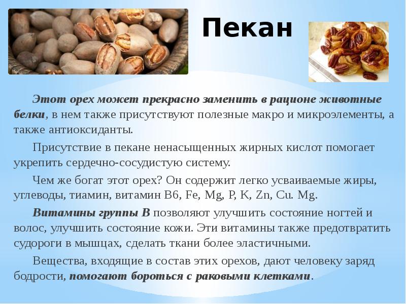 «ядра жизни»: самые полезные орехи