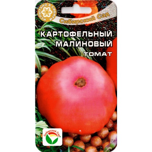 Томат картофельный малиновый: описание сорта, характеристика, сибирский сад, отзывы, фото