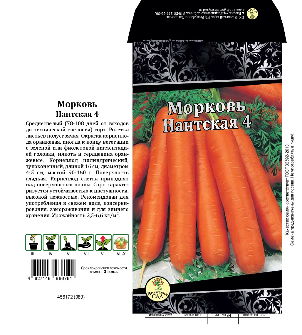 Морковь нантская 4: характеристика и описание сорта, фото, отзывы садоводов, урожайность