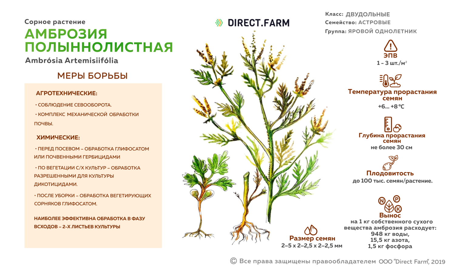 Сорняки особенности