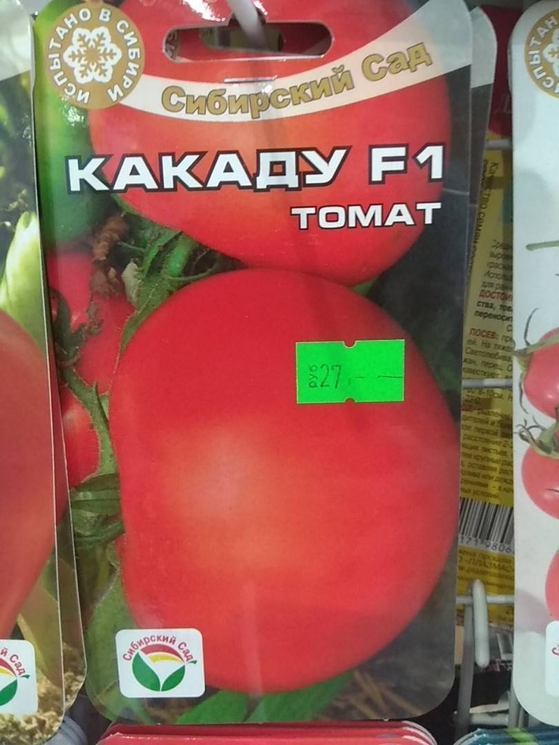Томат какаду f1: отзывы огородников, фото помидоров, рекомендации по их выращиванию на своём участке