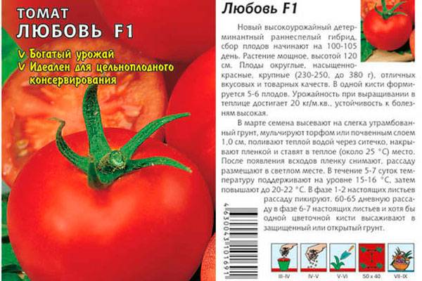 Специфика выращивания и описание томата сорта Моя любовь