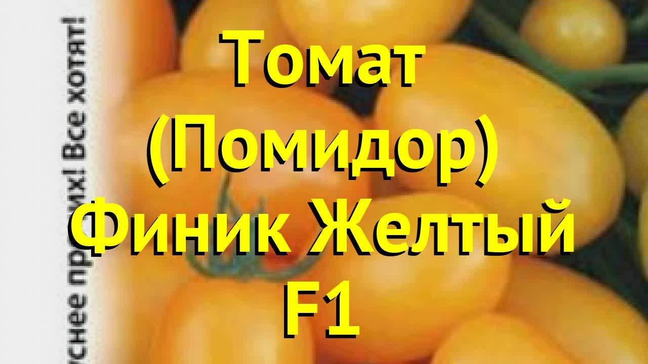 Описание и характеристики томата мармеладный