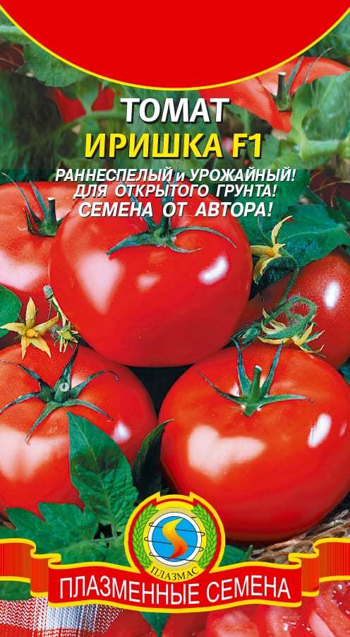 Томат ирина – ранние урожаи для всех!