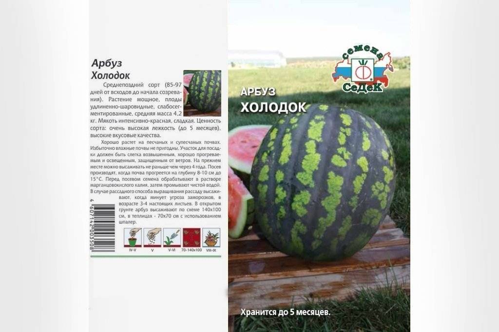 Семена арбуза продюсер: описание сорта, отзывы дачников, особенности выращивания