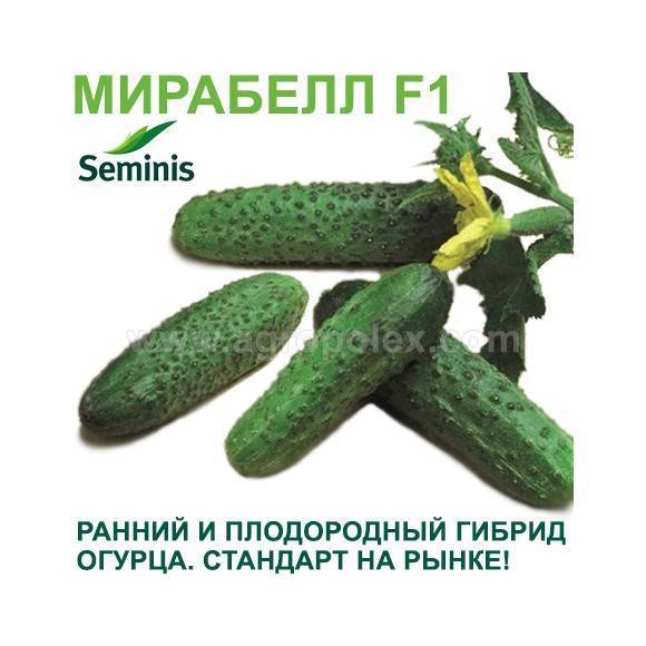 ✅ огурцы мирабелла f1: описание и характеристика, плюсы и минусы сорта, выращивание и уход, фото - tehnoyug.com