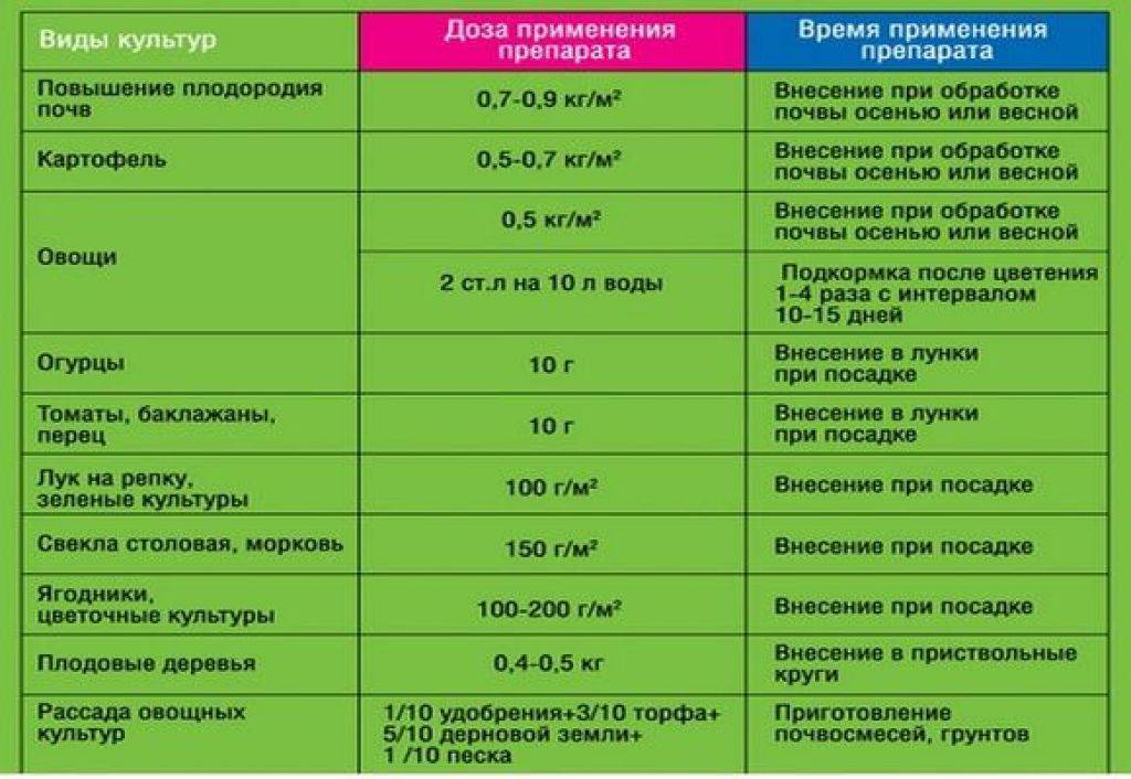 Чем болеют огурцы в теплице – и чем их опрыскать