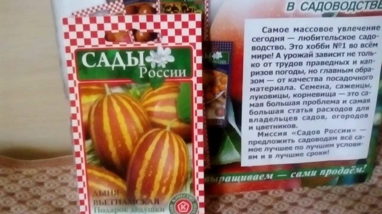 Дыня Хошимина Семена Купить