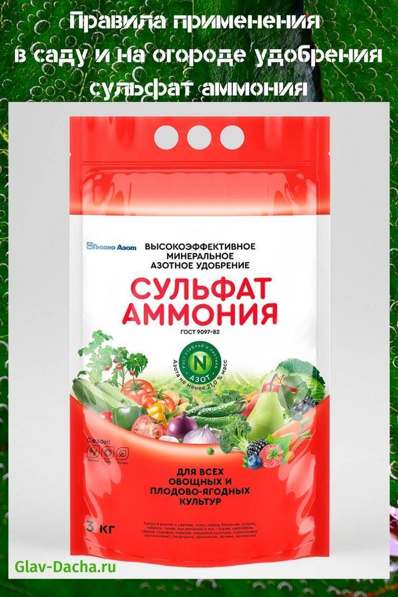 Удобрение сульфат аммония — применение на огороде
