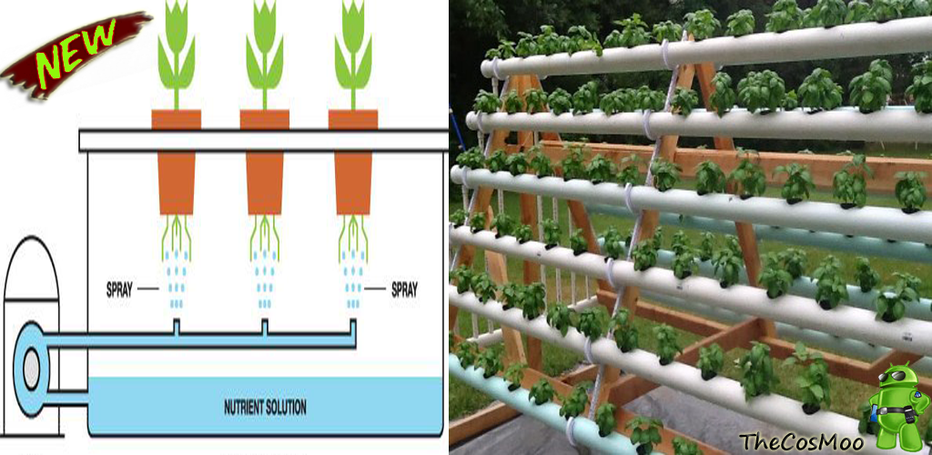 Преимущества выращивания земляники на гидропонике перед почвенным, схема и состав питания