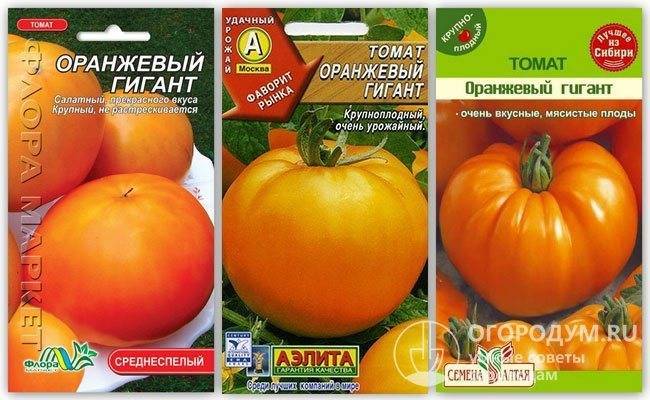 Томат оранжевый гигант характеристика и описание сорта фото